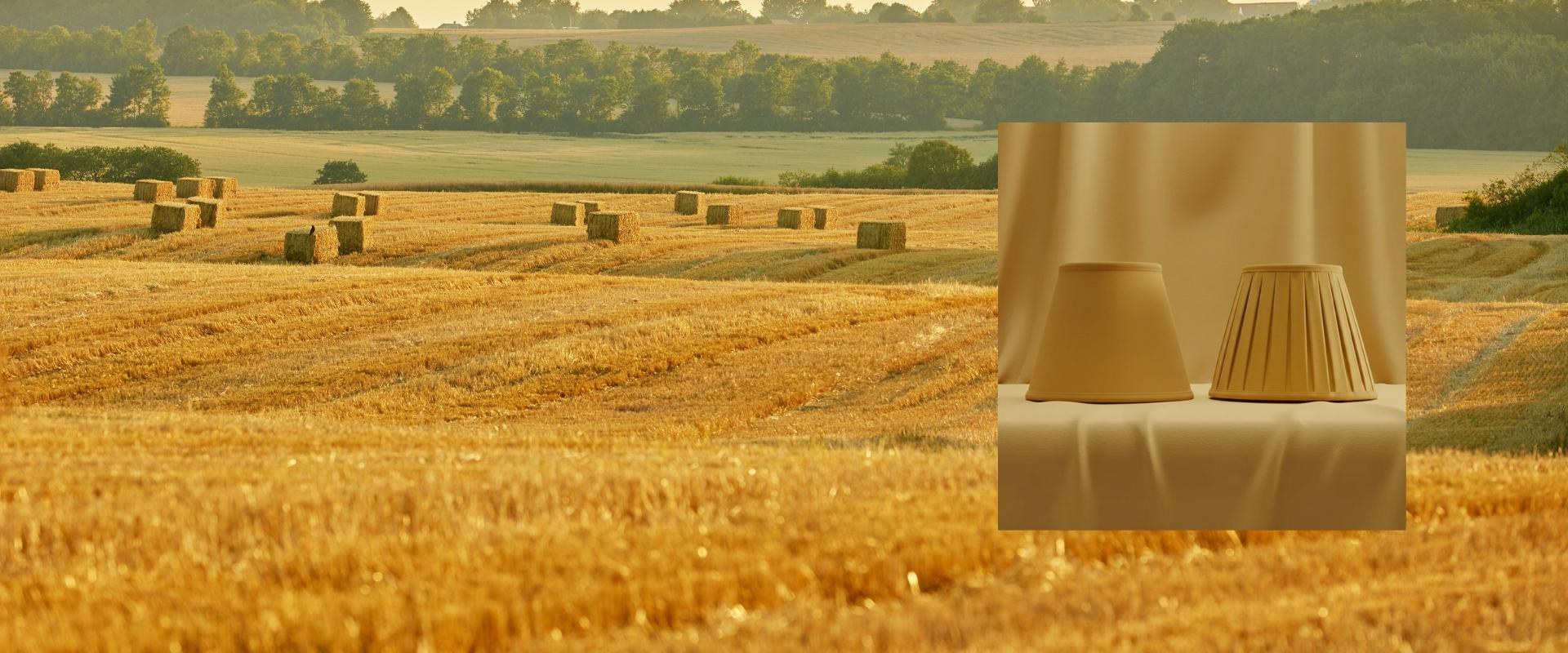 Momente der goldenen Ernte Lampenschirm