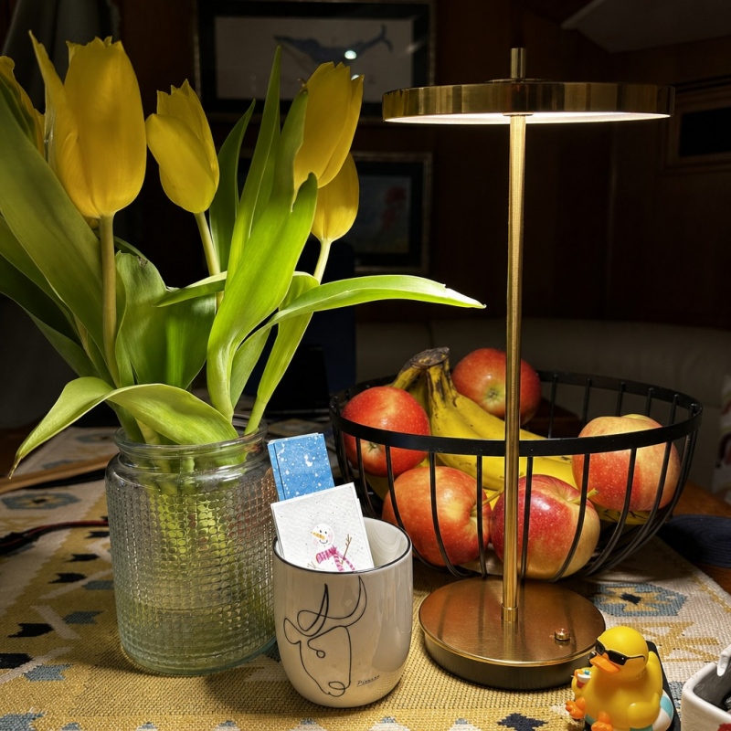 Asteria customer review photo
