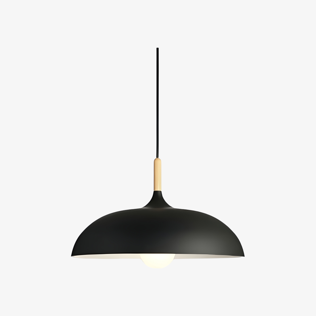 Schwarze Pendelleuchte